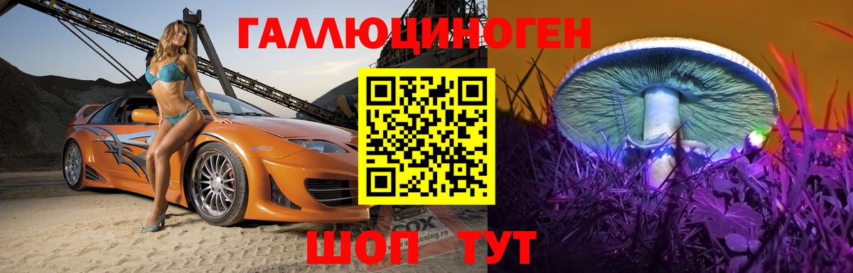 Псилоцибиновые грибы GOLDEN TEACHER Тулун